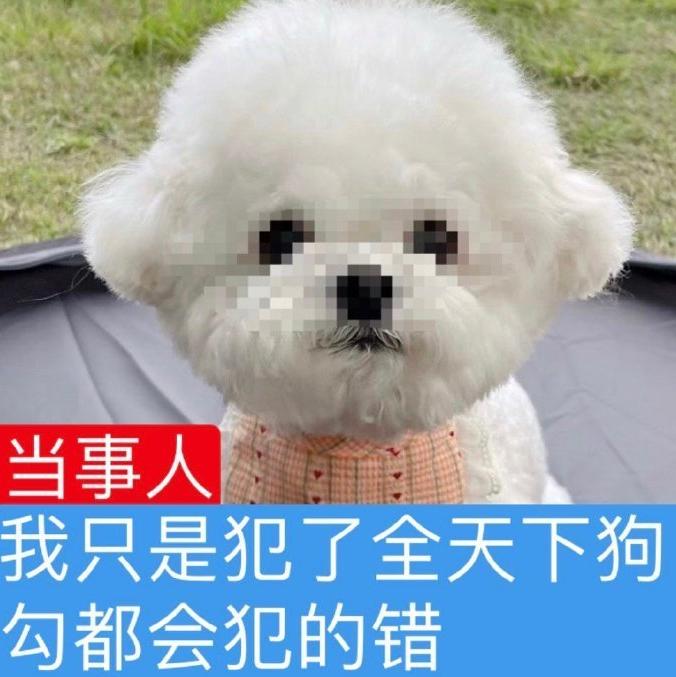 白宝宝的图像