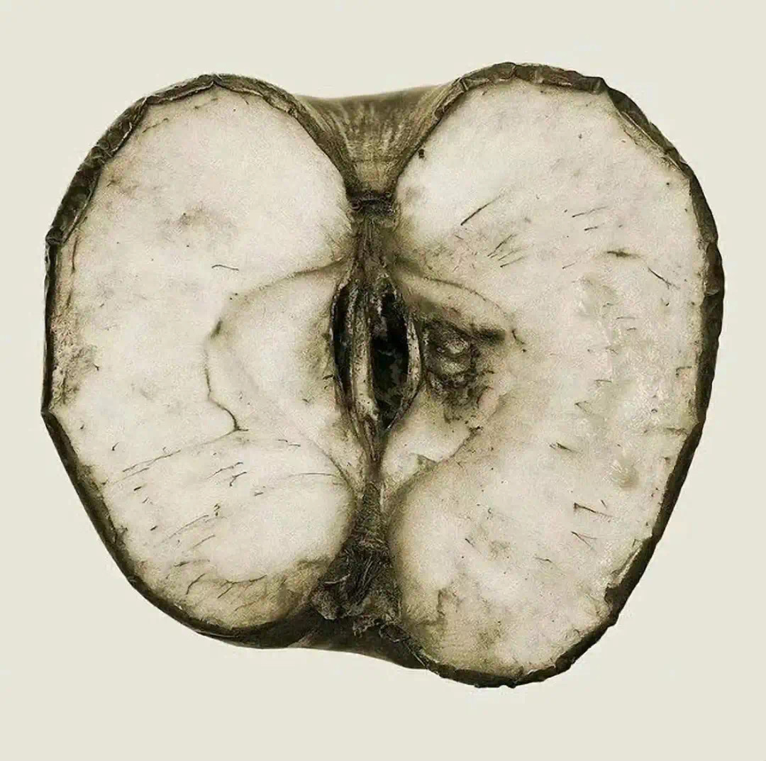 你好